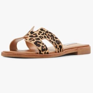 Steve Madden Women's Hadyn  Sandal